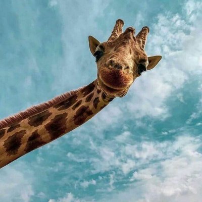 اينجام تا ببينم دنيا چه خبره !!! نظري ندارم، اطلاعي ندارم ….همين 😌