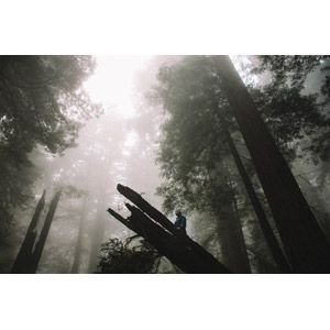 2JSug0m6kznDIHW's profile picture. 都内住みの男、27です
よろしくお願いしますm(__)m