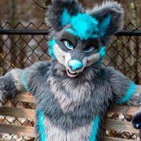 Fluke but HORNY π¦ (@flukethebadwolf) 's Twitter Profile