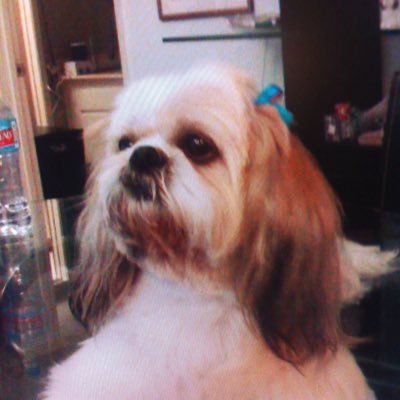 Irma024Irma's profile picture. 