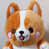 ありぴ(*´`) (@arinkochanfps1) 's Twitter Profile Photo