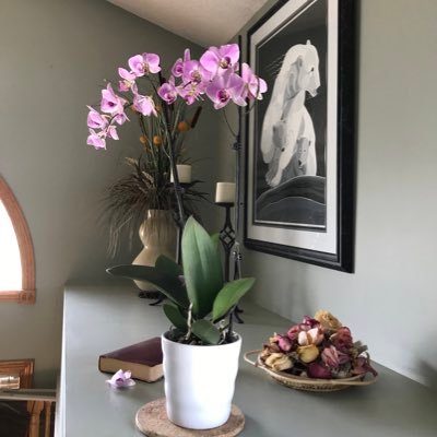 duomeizhi's profile picture. Love and live