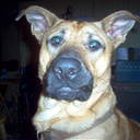 Becky Fields - @NyghtBloom68 - Twitter