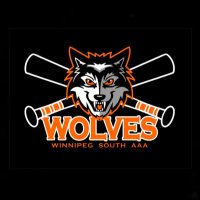 Winnipeg South AAA Baseball (@wpgsouthaaa) 's Twitter Profile
