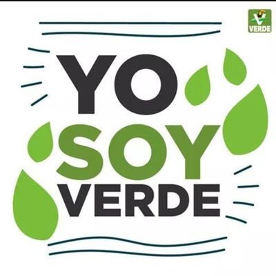 SECRETARIO GENERAL DEL COMITÉ EJECUTIVO ESTATAL DEL VERDE EN SINALOA