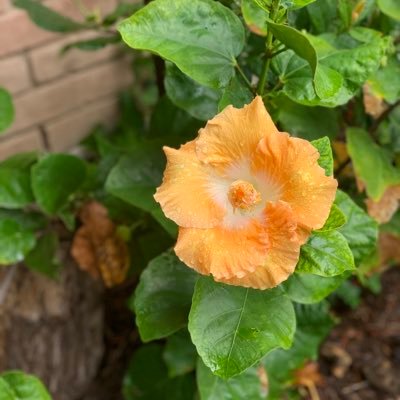 euniceunicorn7's profile picture. 