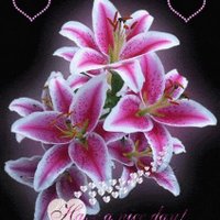🌷🌷jessica rose 🌷🌷 (@jessicarose1j5) 's Twitter Profile