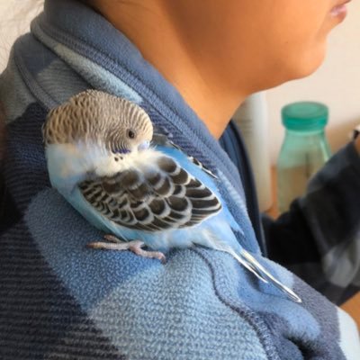 osom1_osom's profile picture. 相場の世界で結果を出すためには、『 自分を信じ切ること 』　これ以外に方法は無い。　勉強させて頂きます🙏 #青牛式トレード #MTF