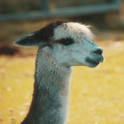 techmechさんのプロフィール画像