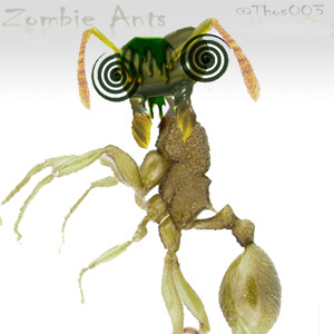 Fungus on the brain... Loosing Control... GET ZOMBIE ANT PEST CONTROL!!!... too late. Zombie Ants are here.