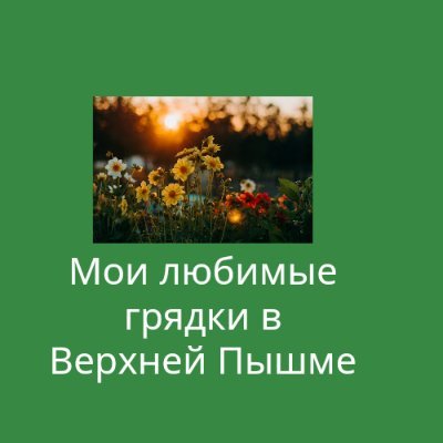 FveWtdHtr9AQBKa's profile picture. Я пенсионерка. Более 30 лет занимаюсь садоводством, как любитель. Больше всего люблю выращивать помидоры и цветы. Накопила богатый опыт в этом вопросе.