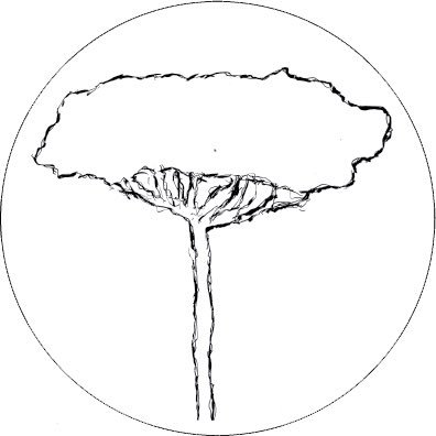 DasaTapes's profile picture. https://t.co/fAHFmP5vam