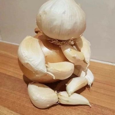 bugginout_yerrr's profile picture. 