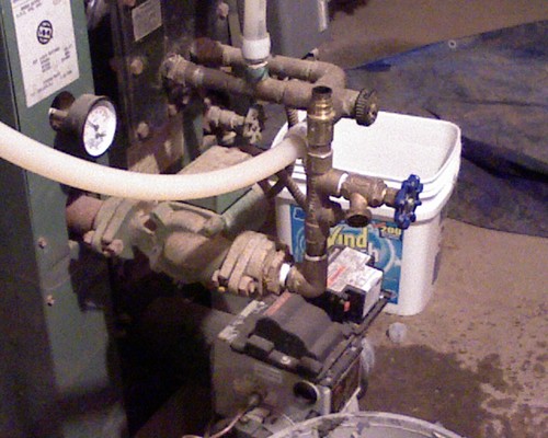 abokinama's profile picture. trying to do the right things!