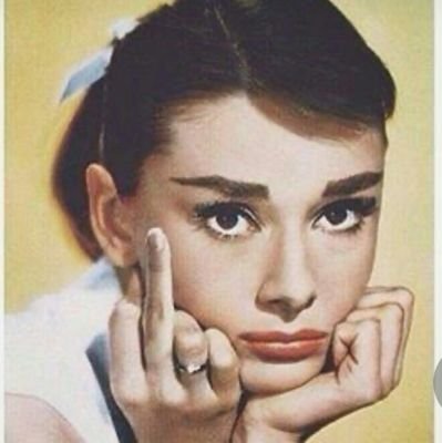 Nita34854862's profile picture. Кормлю бездомных собак. Спасибо всем, кто может поддержать.