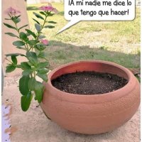 Sergio Chavez (@sergioc75418183) 's Twitter Profile