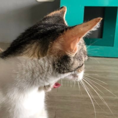 nawanawaa's profile picture. "괜찮아 자 하나 둘 셋 하면 잊어 슬픈 기억 모두 지워 내 손을 잡고 웃어" -2!3!- @BTS_twt💜 190119🇸🇬 191026🇰🇷 201010/11🇮🇩💻
