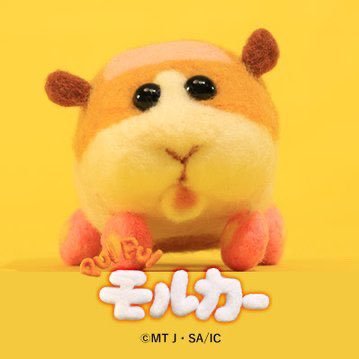かわいそうな成人◎不安定繊細オタク◎来世もよろしく◎マジ感謝で〜す🍓🍠☀️🙂 ◎元気チャーーーーージ!!!!!!!!!!!!有酸素に感謝🙏✨