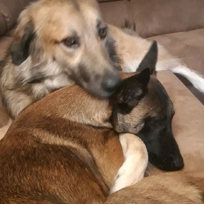 Rk3473558815's profile picture. #Bitcoin