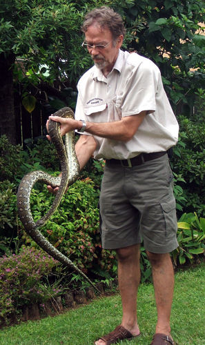 I rescue troubled Wildlife & Televisions