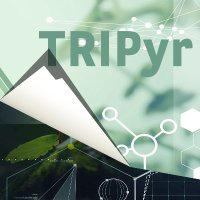 TRIPyr (@pyr_tri) 's Twitter Profile