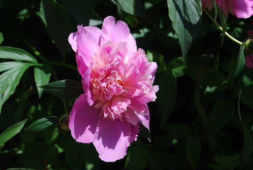 tweetmethat's profile picture. Managing home and work with an eye on effective communications, great books, healthy recipes and unique style.