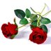 Hakan er (@hakan10243032) Twitter profile photo Hakan er (@hakan10243032) Twitter profile photo