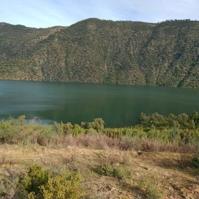 3TGqThMJ1ifwN1C's profile picture. الدال على الخير كفاعله