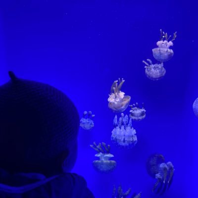 ikura_to_taitsu's profile picture. 東京生まれ、長野育ち、子供1人、経営を学びながら自分の理想に近づくために奮闘中、初志貫徹、人生楽しんだもん勝ち #経営者 #サッカー好き #ゲーム好き #スキー好き #美味しいもの好き #最近は魚派