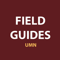 UMN Field Guides (@umn_fieldguides) 's Twitter Profile Photo UMN Field Guides (@umn_fieldguides) 's Twitter Profile Photo