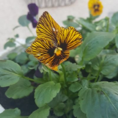 MJMitchell10's profile picture. 