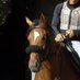 CTR Stables (@ctr_stables) Twitter profile photo CTR Stables (@ctr_stables) Twitter profile photo
