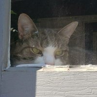 Wesley Shears (@wesleyshears) 's Twitter Profile Photo