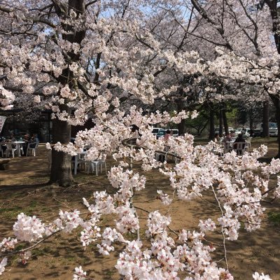 LGxJa8SQfU4gSVA's profile picture. 