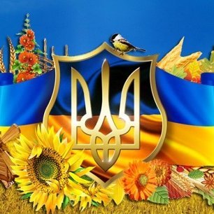 chevziv12's profile picture. 