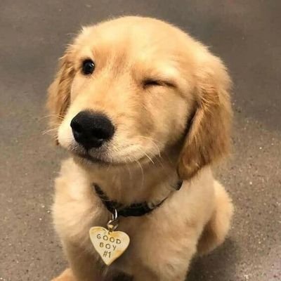 SanjayT93769824's profile picture. 