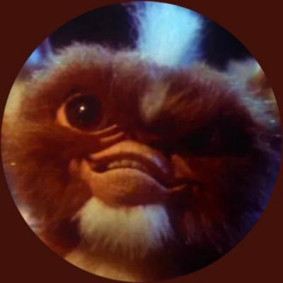 j’suis un gremlins fdp (ne prenez pas au sérieux mes tweets svp merci)