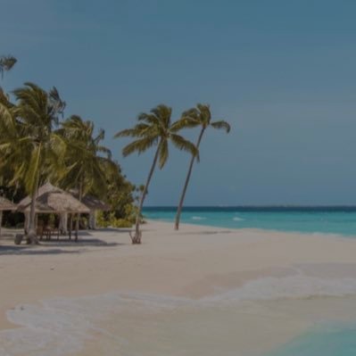 abumesharee's profile picture. 