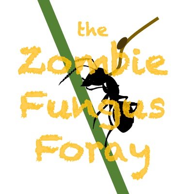 ZombieANTics's profile picture. Welcome to the Zombie Fungus Foray, a community science initiative in collaboration with the University of Central Florida for the discovery of Zombie Ants!