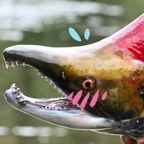 🔞Horny Fish🔞 🐟 💖さんのプロフィール画像