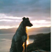 ELR (@blairhendry1) 's Twitter Profile Photo ELR (@blairhendry1) 's Twitter Profile Photo