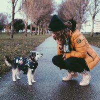 Livie Barber & Tallulah the ex-Therapy Dog (@liviebarber) 's Twitter Profile