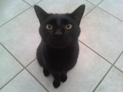 MAXPLACE2's profile picture. 