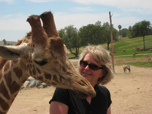 Award-winning Author of The Watchers of Moniah epic fantasy. Dedicated to saving giraffes from their silent extinction and giving women positive role models.