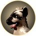 Denevraut (@denevraut) Twitter profile photo Denevraut (@denevraut) Twitter profile photo