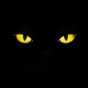 Supradip Ghosh 🇮🇳 ✪ (@mrr0b0t0x) 's Twitter Profile
