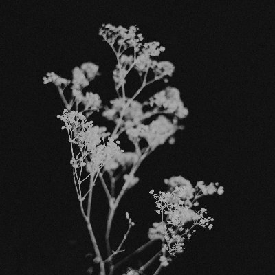 nixjunkie's profile picture. *nix, vim, foss, digital minimalism