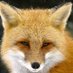 Nick_J (@respec_ados) Twitter profile photo Nick_J (@respec_ados) Twitter profile photo