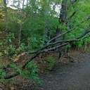 Matt Waxman - @travelersrealm - Twitter