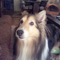 セルジュ (@pacolaguna) 's Twitter Profile Photo セルジュ (@pacolaguna) 's Twitter Profile Photo